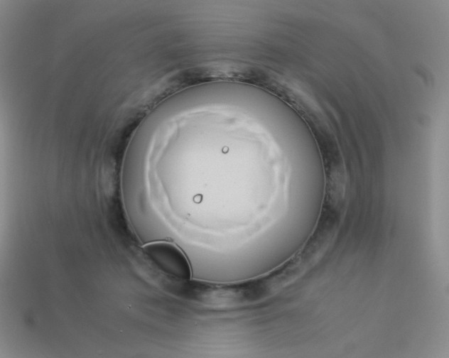 X0000114150413200910221551