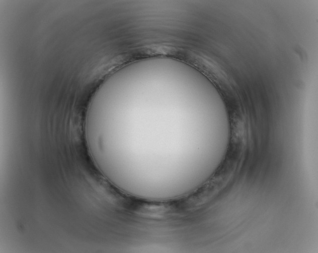 X0000114150414200910221551