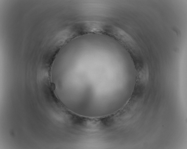 X0000114150415200910221551