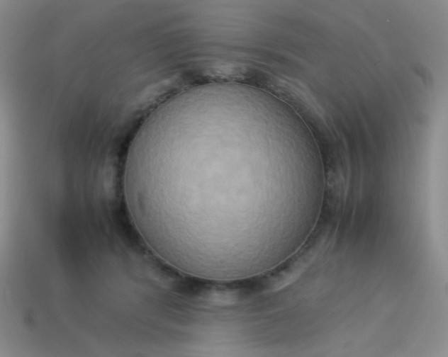 X0000114150416200910221551