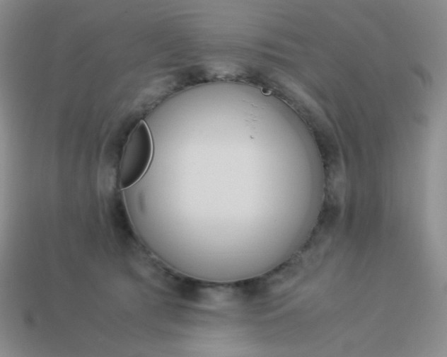 X0000114150417200910221551