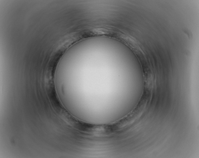 X0000114150418200910221551