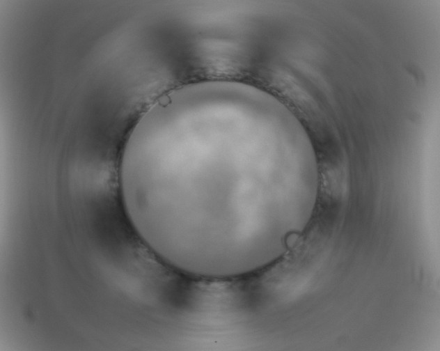 X0000114150419200910221551