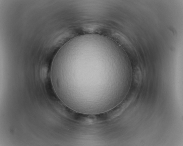 X0000114150420200910221551