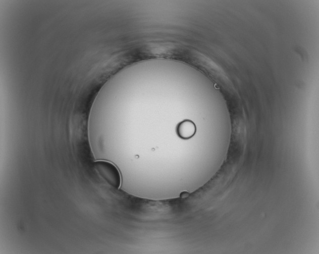 X0000114150421200910221551