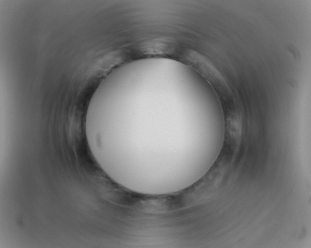 X0000114150422200910221551