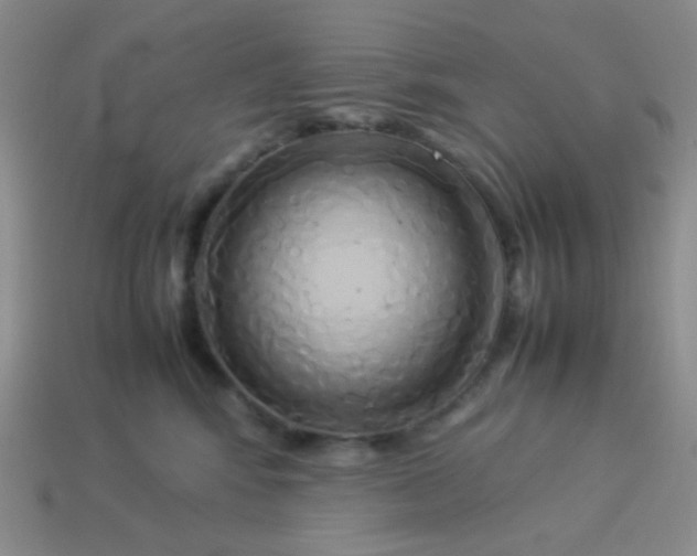 X0000114150424200910221551