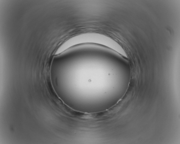 X0000114150425200910221551