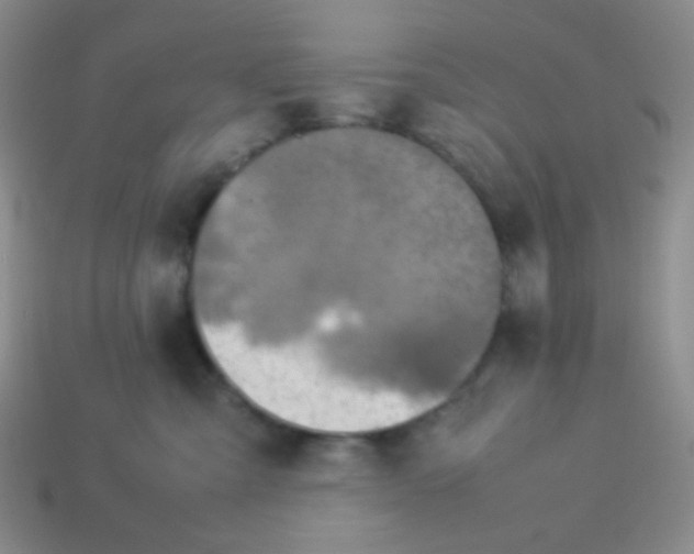 X0000114150427200910221551