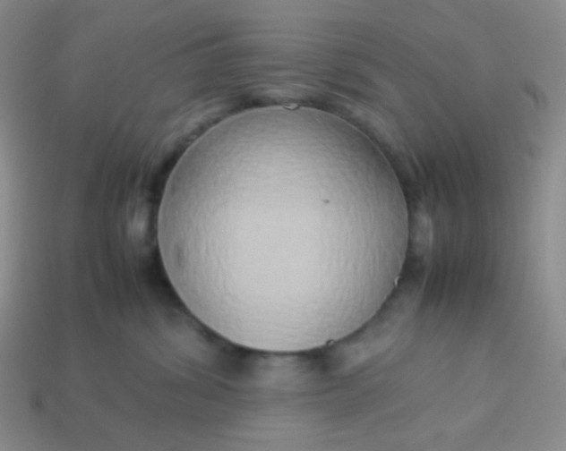 X0000114150428200910221550