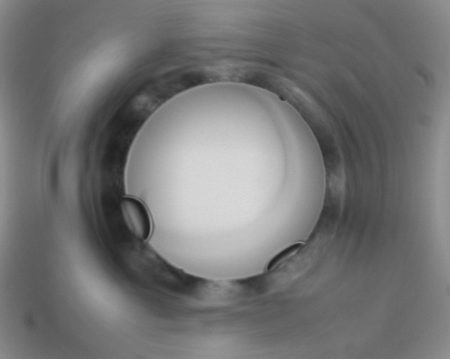 X0000114150429200910221550