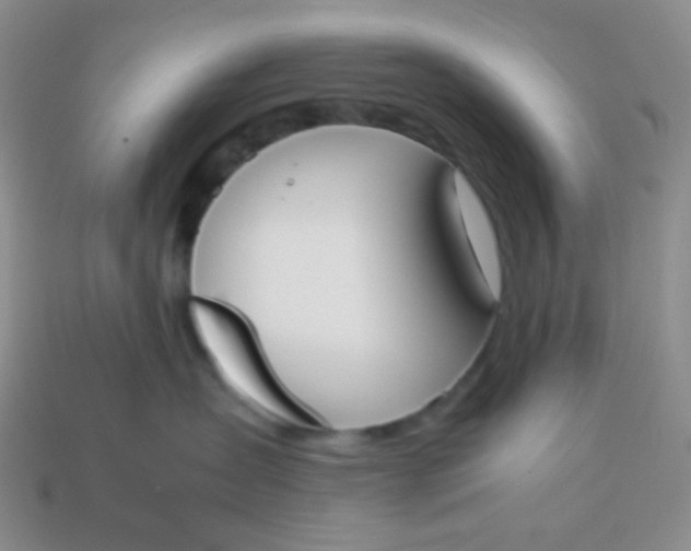 X0000114150431200910221550