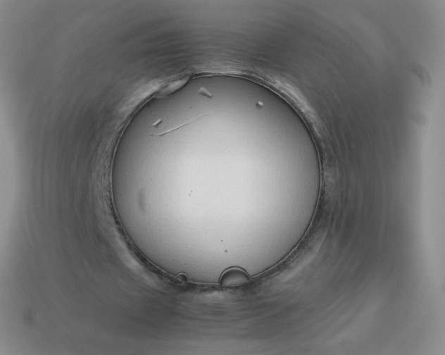 X0000114150433200910221550