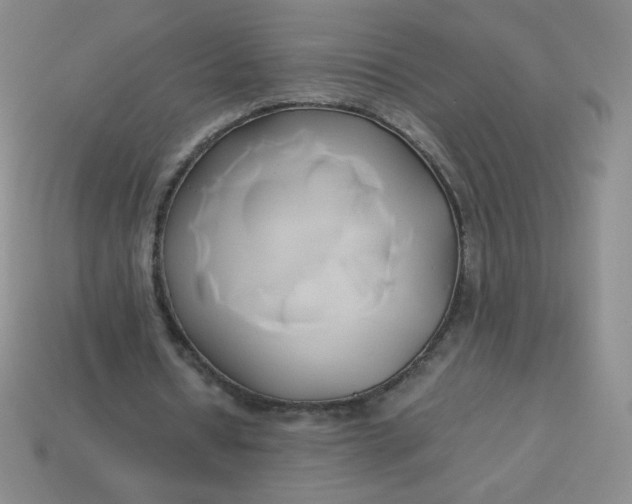 X0000114150434200910221550