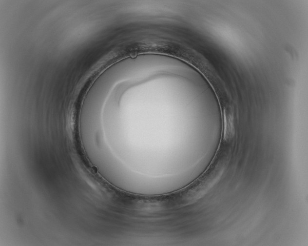 X0000114150435200910221550