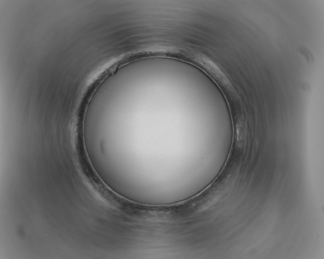 X0000114150436200910221550