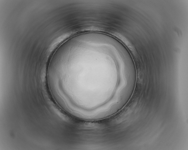 X0000114150437200910221550