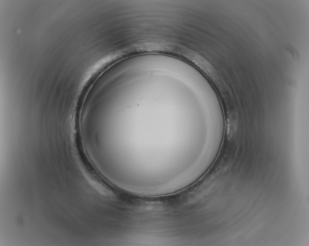 X0000114150438200910221550