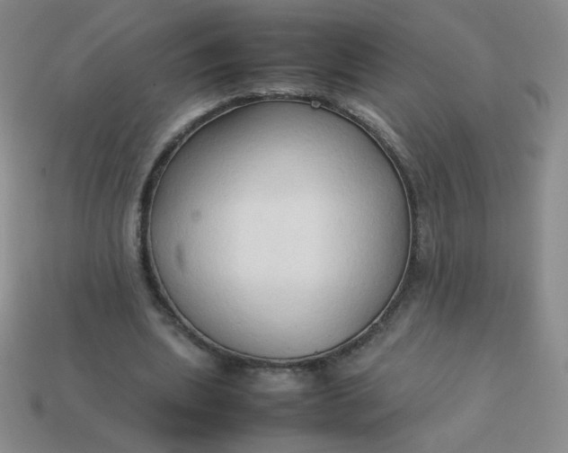 X0000114150439200910221550