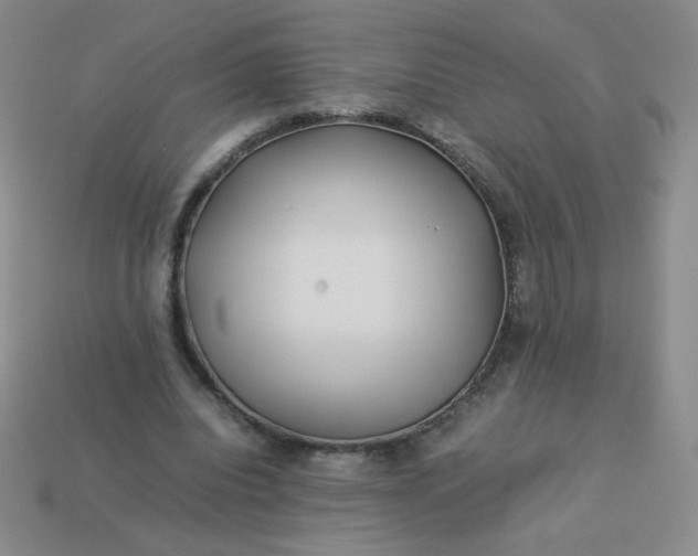 X0000114150440200910221550