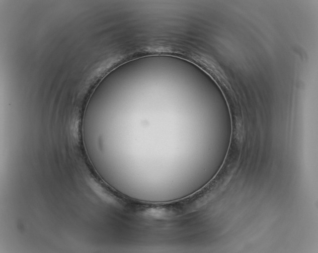 X0000114150441200910221550