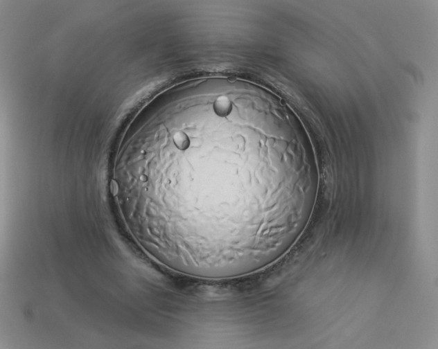 X0000114150442200910221550