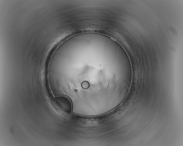 X0000114150443200910221550