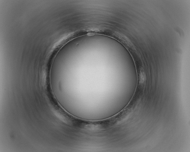 X0000114150444200910221550