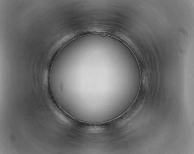 X0000114150445200910221550