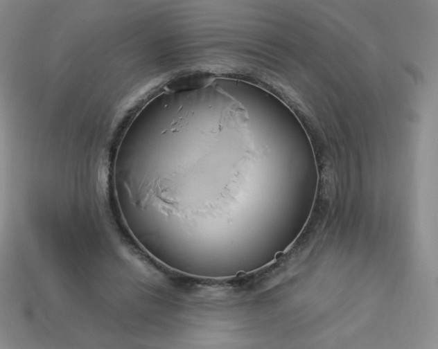 X0000114150446200910221550