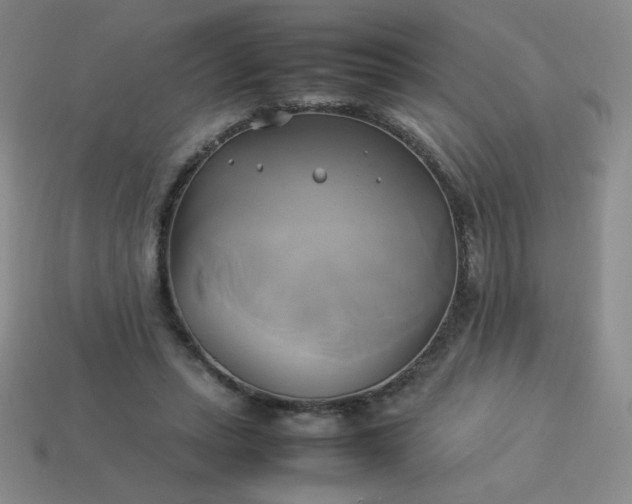 X0000114150447200910221550