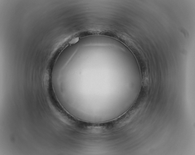 X0000114150448200910221550