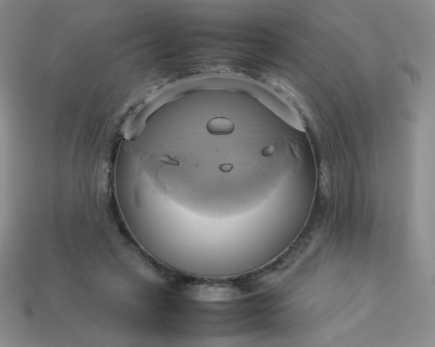 X0000114150449200910221550