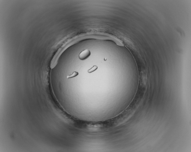 X0000114150450200910221550