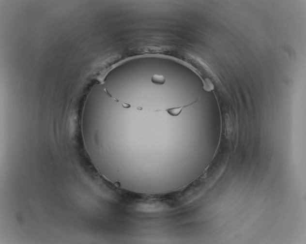 X0000114150451200910221550