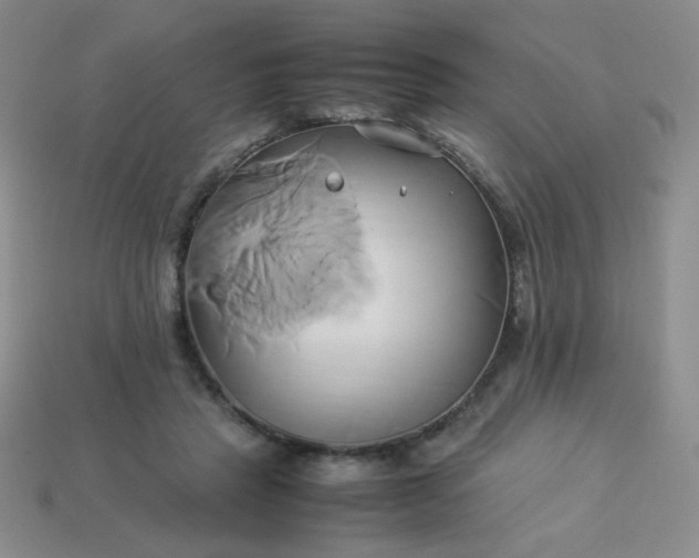 X0000114150453200910221550