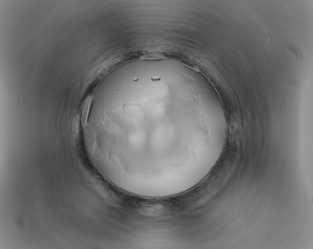 X0000114150454200910221550