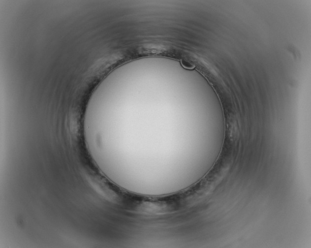 X0000114150455200910221550