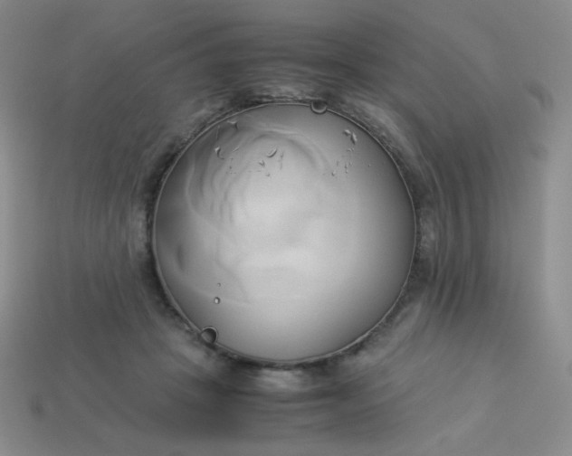 X0000114150457200910221550