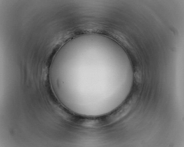 X0000114150458200910221550