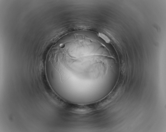 X0000114150459200910221550