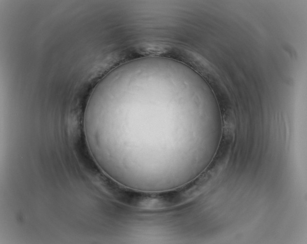 X0000114150460200910221550