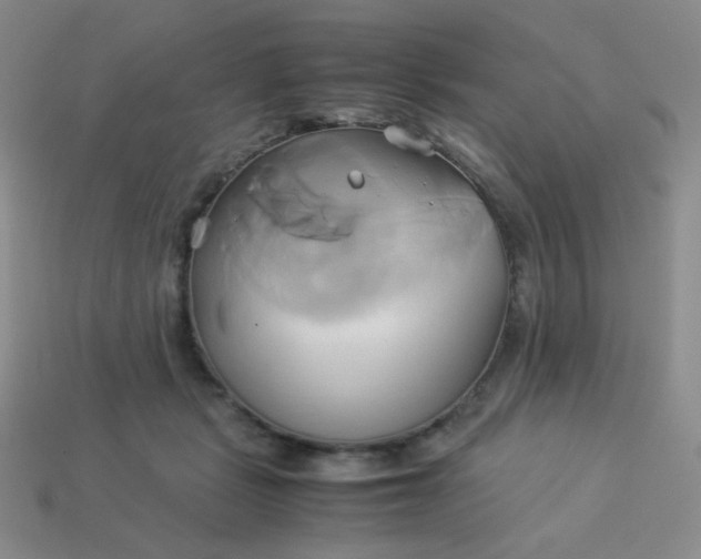 X0000114150461200910221550