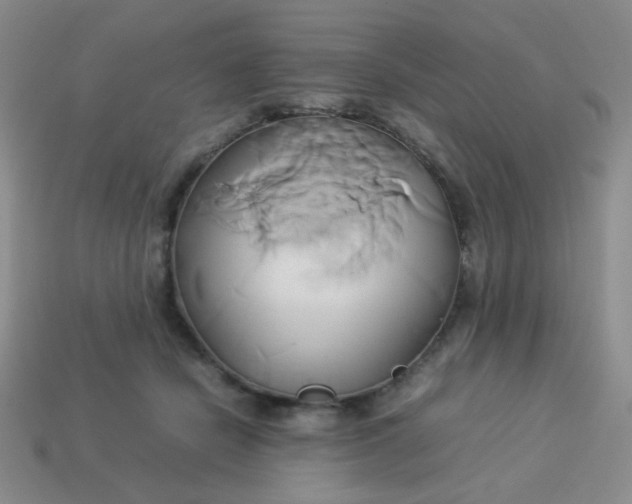 X0000114150462200910221550