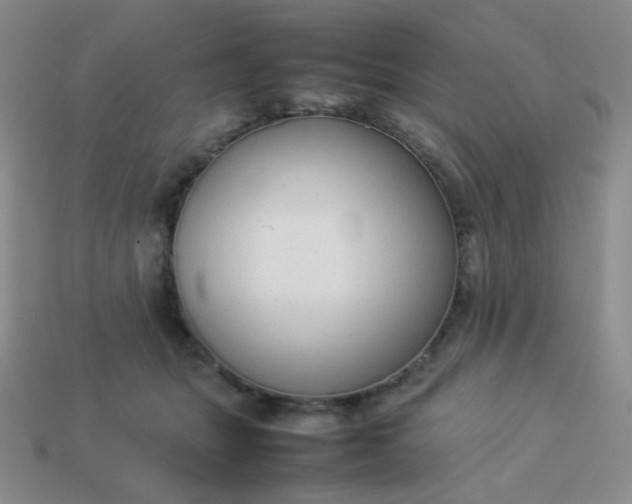 X0000114150463200910221550