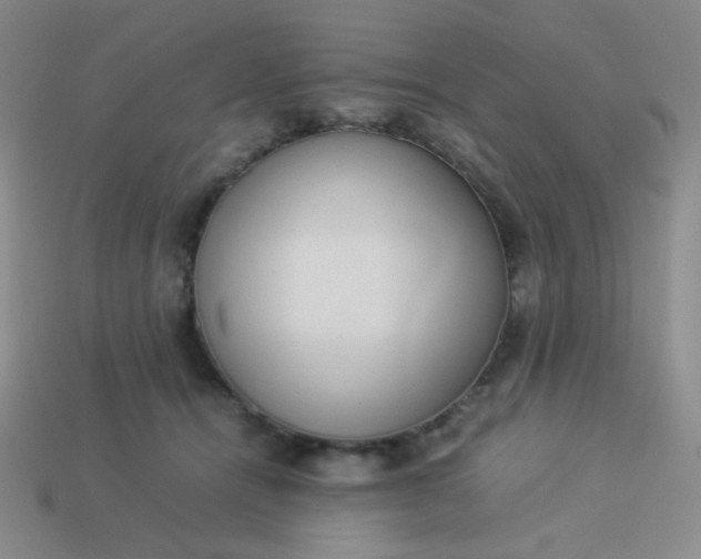 X0000114150464200910221550