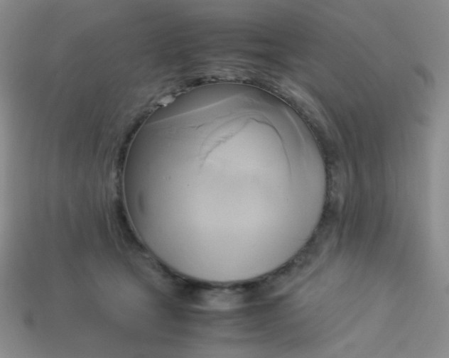 X0000114150465200910221550