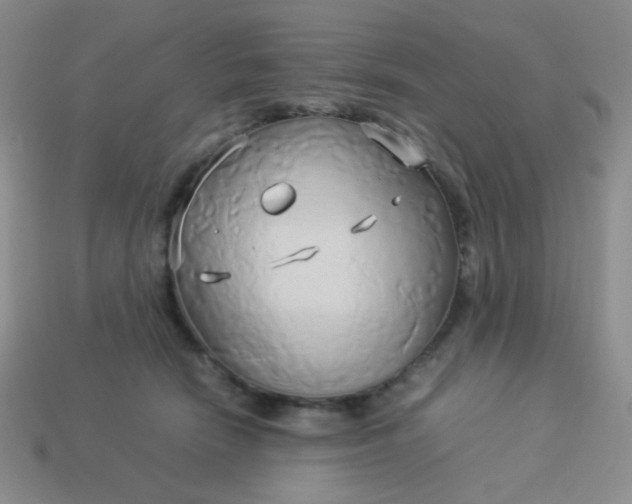 X0000114150466200910221550