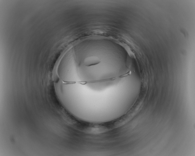 X0000114150467200910221550