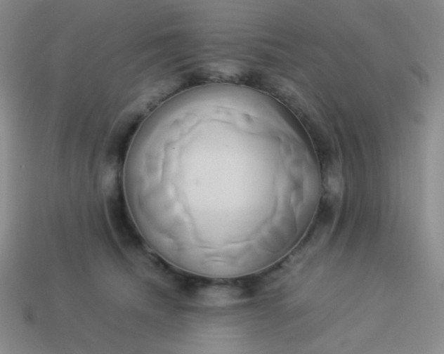 X0000114150468200910221550